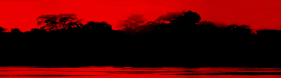 Amazon Sunset In Peru