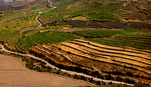 Trekking Through the Arequipa Countryside Terracing