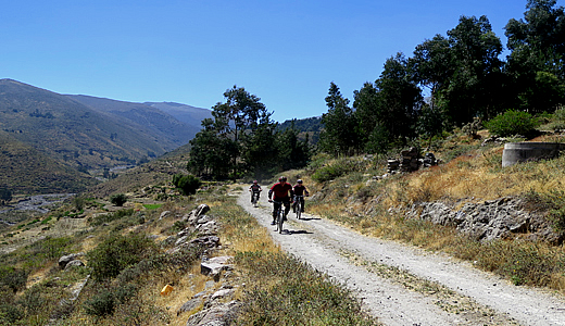 Bike Tour Around Volcan Misti