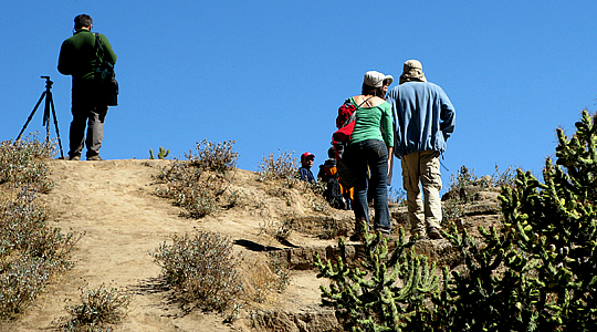 Trekking In The Colca Canyon