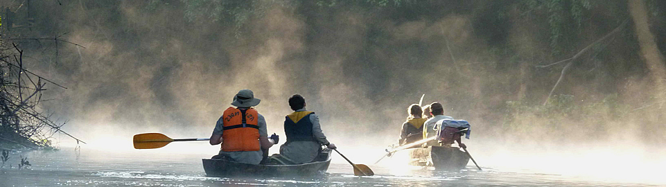 Canoe Jungle Trip