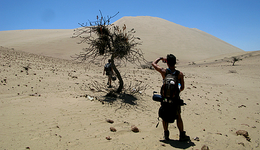 Trekking On Cerro Blanco Sand Dune