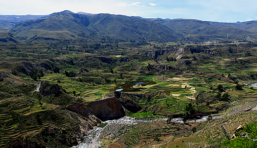 Colca Agriculture Terraces