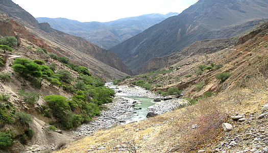 Colca Canyon River