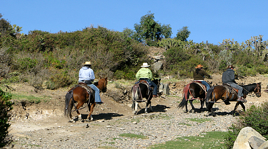 Colca Horse Riding Tour