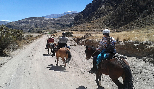 Colca Horseback Vacations