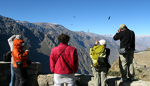 Mirador Cruz Del Condor Colca canyon