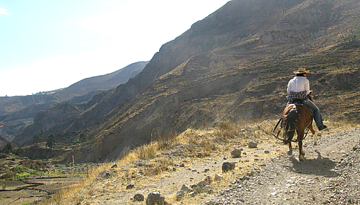 Horse Tour In The Cotahuasi Canyon