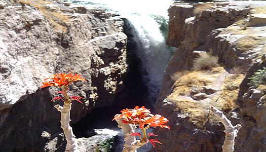 Waterfall In the Cotahuasi Canyon