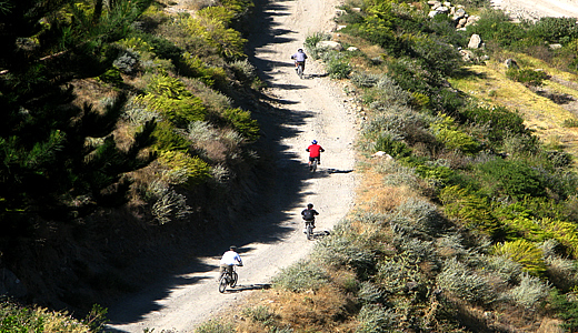 Half Day Mountain Bike Tour In Arequipa - Bike Trip Around Volcan Misti - Arequipa Biking Tours