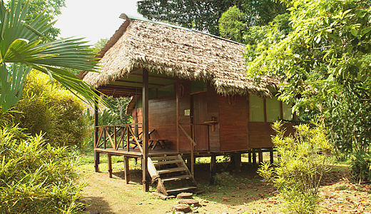 Peru Forest Lodge