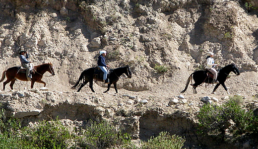 Horse Riding Tour Cuzco