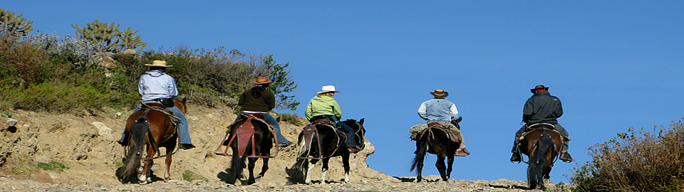Horseback Riding Tour In The Colca Canyon