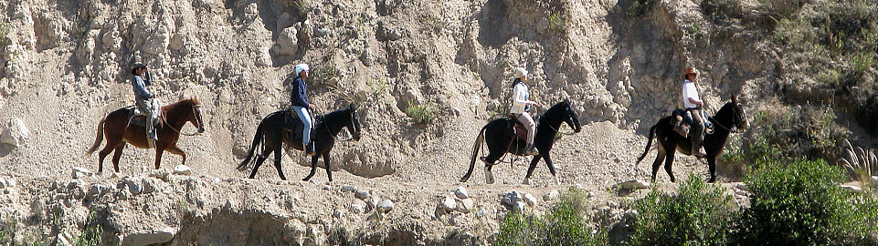 Horseback Riding In The Colca Valley