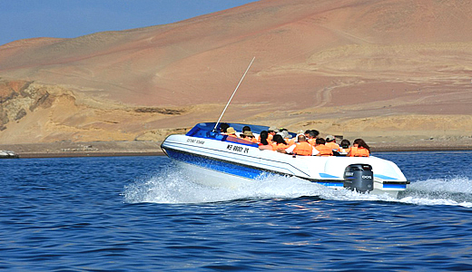 Boat Rite Top Ballestas Island In Peru
