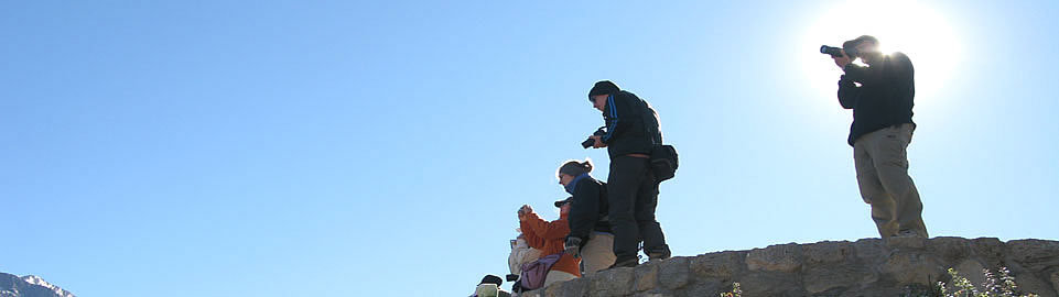 Kolka Canyon Guided Tour Arequipa Peru