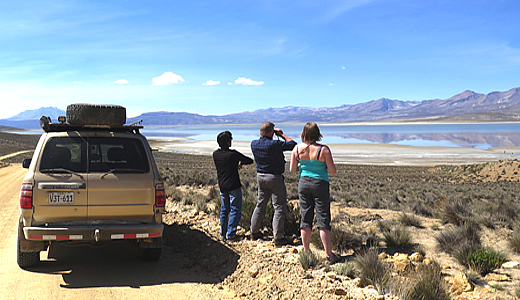 Excursion To Laguna Salinas