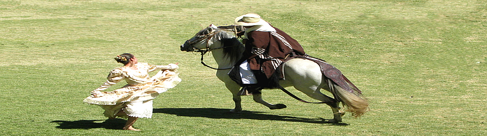 Marinera Folk Dance With Peruvian Paso Horse
