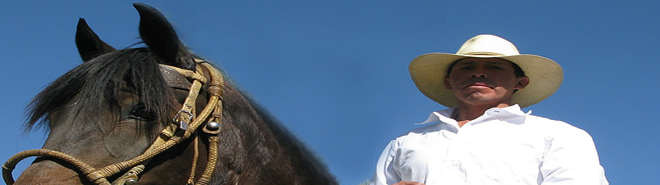 Peruvian Chalan or Horseman