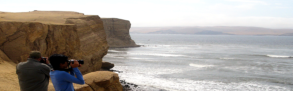 Paracas Natural Reserve