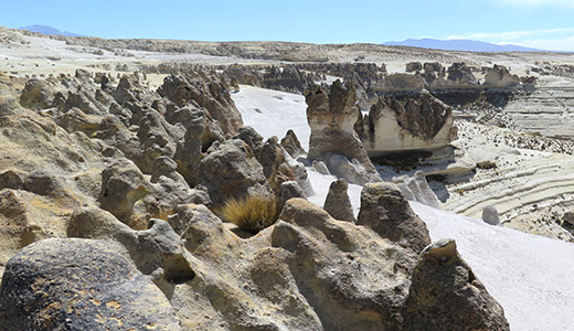 Peru Rock Forest Tours