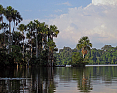 Peru Amazon Jungle Tours