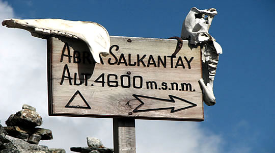 Salkantay Pass  4600m