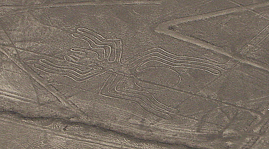 Spider Figure - Nazca Plateau