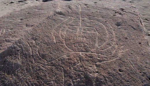 Tour guide to Toro Muerto Petroglyphs