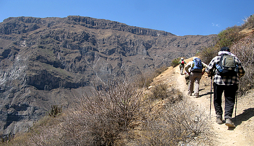 Trek In The Colca Canyon