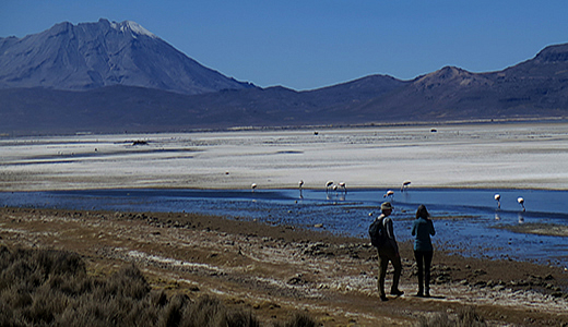 Picture of Laguna de Salinas and volcan Ubinas