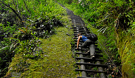 Putucusci Wood Ladders - Wood Steps