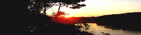 Jungle sunset
