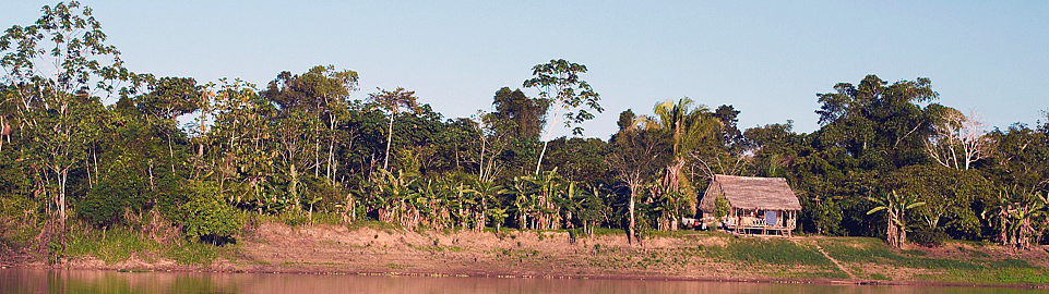 Peru Amazon Rainforest