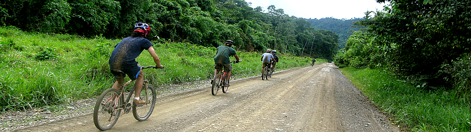 Biking From The Andes To The Jungle