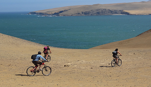 Bike Tour To San Fernando Marine Reserve