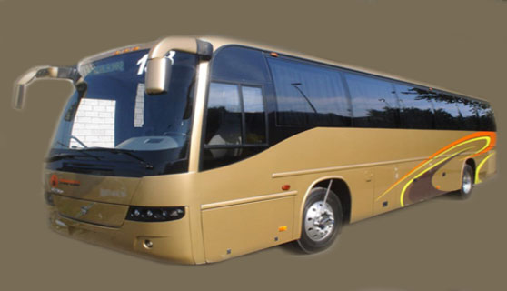 Peru Bus Service