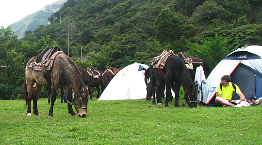 Camping Tour In The  Cloud Forest Of Peru