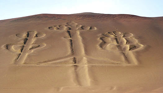 Candelabrum On The Slopes Of Sand Hill