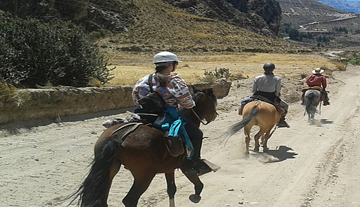 Horseback Riding Tours