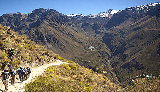 Colca Trekking Tours