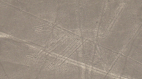 The Dog Figure On The Pampas San Jose Nazca