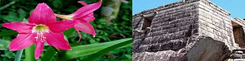Cultural & Ecological Lecture