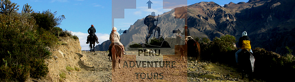 Full Day Colca Canyon Horse Tour From Arequipa