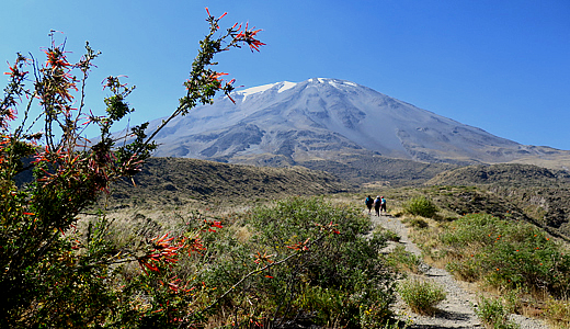 Half Day Trek To Misti Volcano - Trekking Tours To El Misti Volcan - Trek  Information Of Volcan Misti In Arequipa - MystiTrek - MistyTour - Trekking  Tours To Volcan Misti 