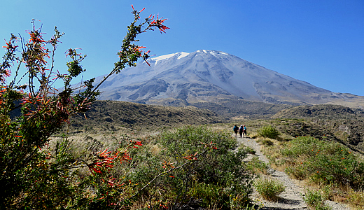 Half Day Trek Volcan Misti