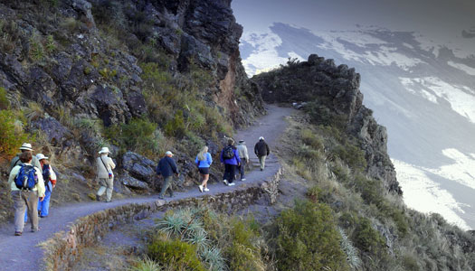 incas buggy tours