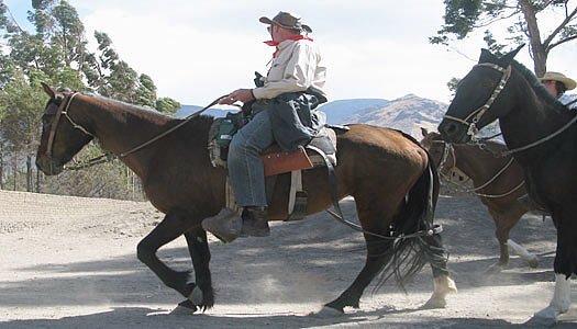 Riding Peruvian Paso Horses