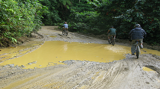 Jungle Bike Tours