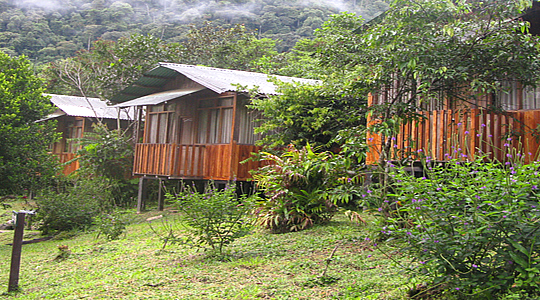 Jungle Lodge In Peru Amazon